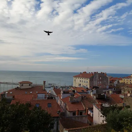 Casa Lumina - New 2025