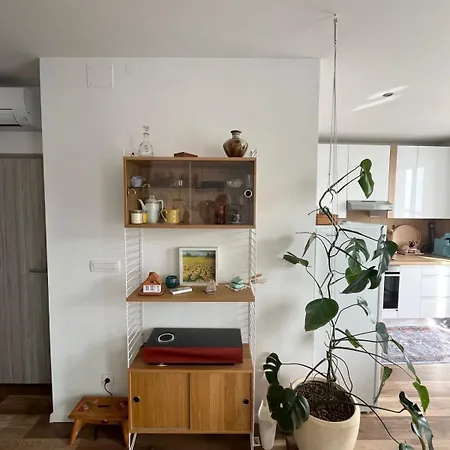 Casa Lumina - New 2025 Apartment *