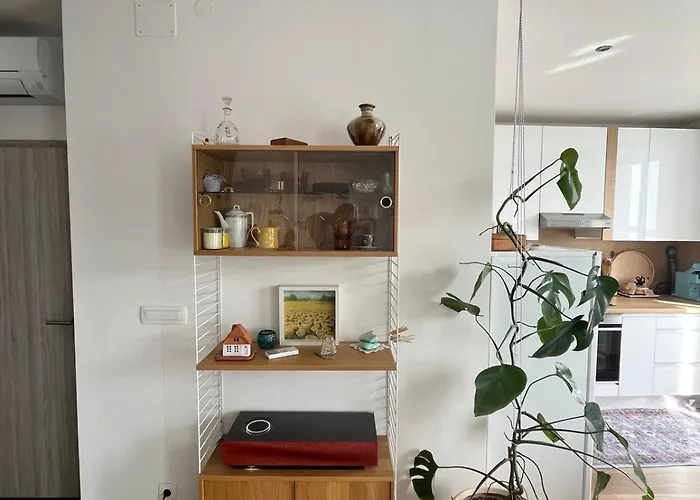 Casa Lumina Palazzo アパート *